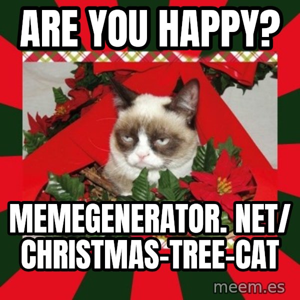 GRUMPY CAT ON CHRISTMAS meme: Are you happy? / memegenerator. net/ christmas-tree-cat
