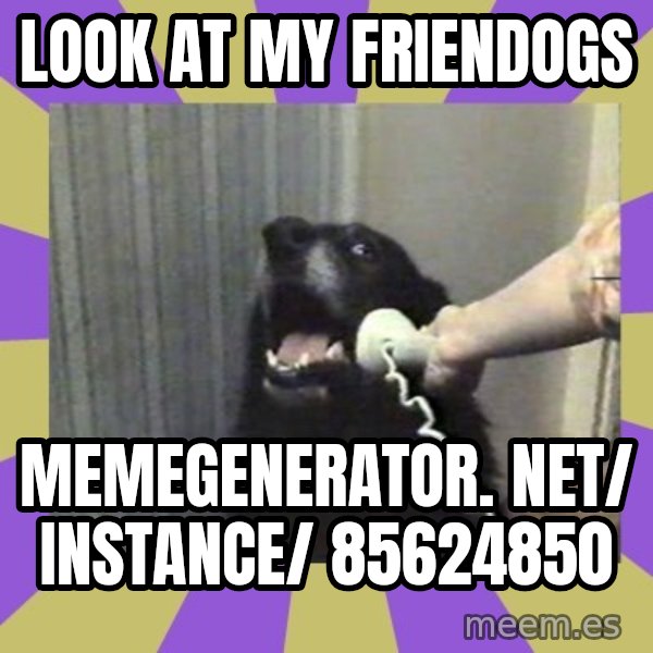 Yes, this is dog! meme: Look at my friendogs / memegenerator. net/ instance/ 85624850
