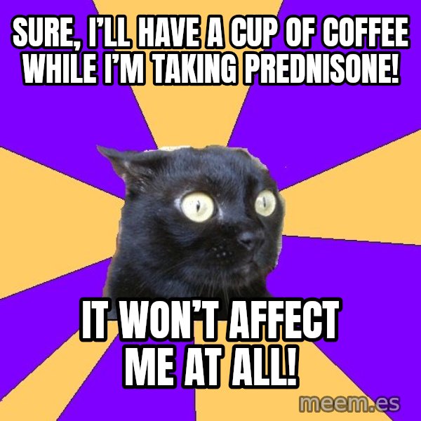 Anxiety Cat meme: Sure, I’ll have a cup of coffee while I’m taking prednisone! / It won’t affect me at all!