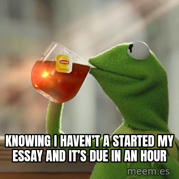 Kermit The Frog Drinking Tea meme: Knowing I haven’t a started my essay and it’s due in an hour