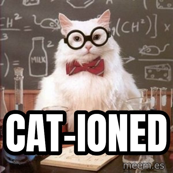Chemistry Cat meme: cat-ioned