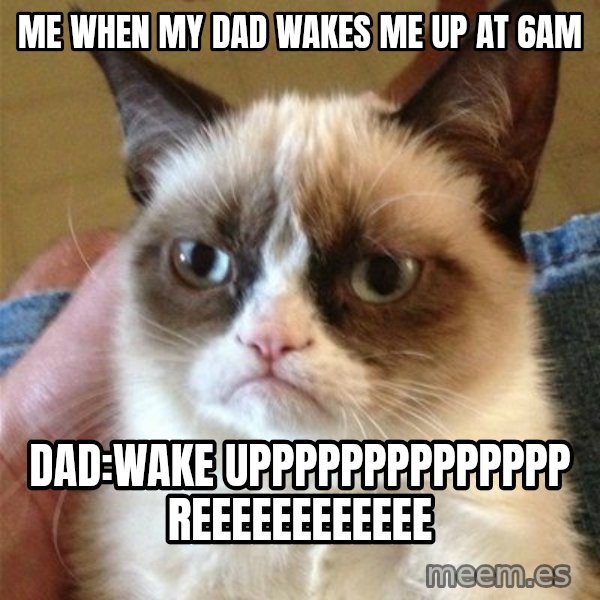 Grumpy Cat  meme: Me when my dad wakes me up at 6am / Dad:WAKE UPPPPPPPPPPPPPP REEEEEEEEEEEE