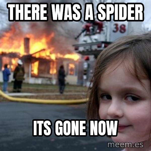 Disaster Girl meme: there was a spider / its gone now