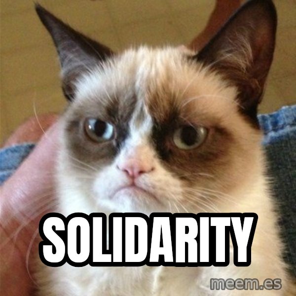 Grumpy Cat  meme: Solidarity