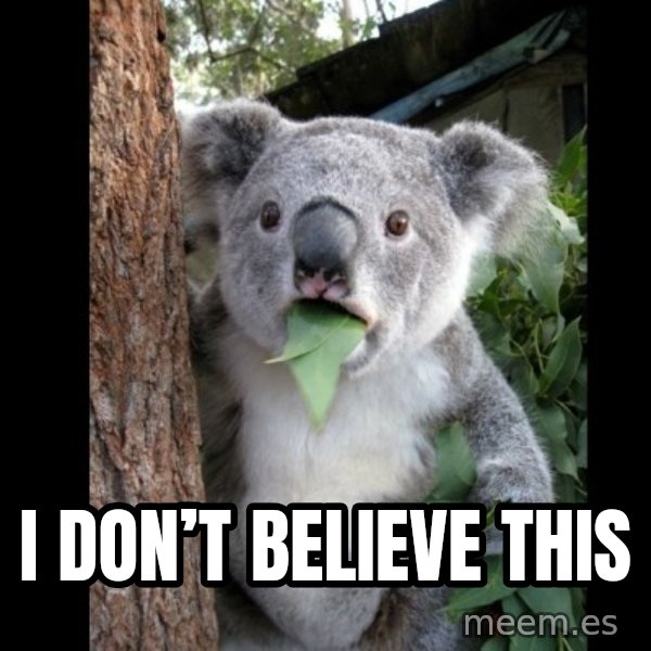 Koala can't believe it meme: I don’t believe this