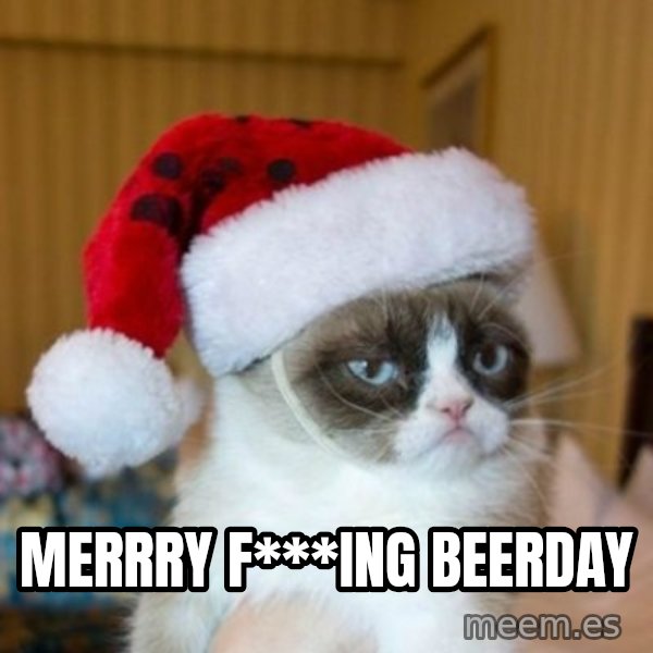 Grumpy Cat Santa Hat meme: Merrry f***ing beerday