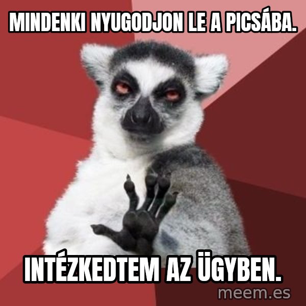mindenki nyugodjon le a picsába meme: Mindenki nyugodjon le a picsába. / Intézkedtem az ügyben.