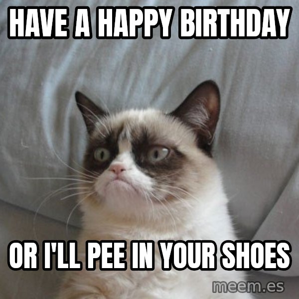 Grumpy cat good meme: Have a happy birthday / Or I'll pee in your shoes
