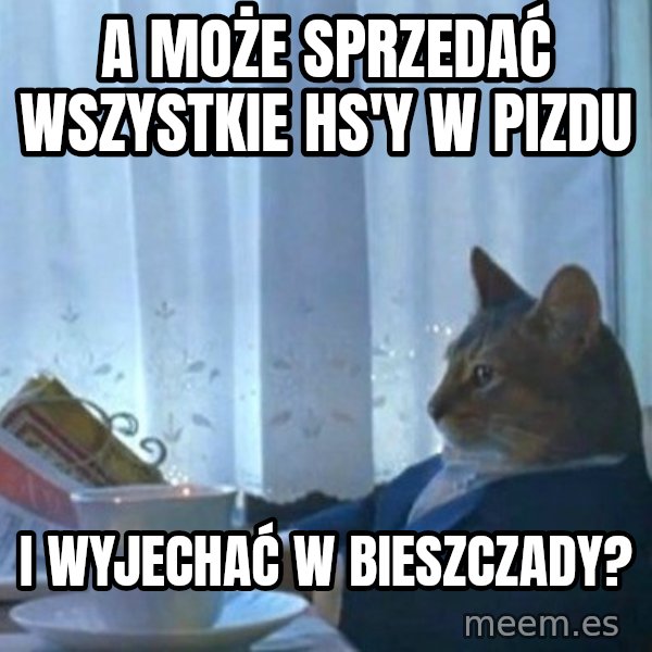 newspaper cat realization meme: A może sprzedać wszystkie HS'y w pizdu / i wyjechać w Bieszczady?