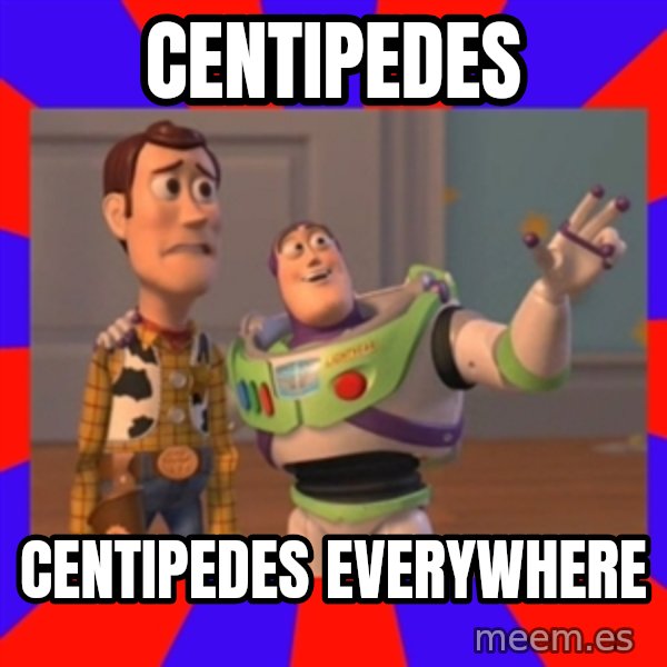 X, X Everywhere  meme: centipedes / centipedes everywhere