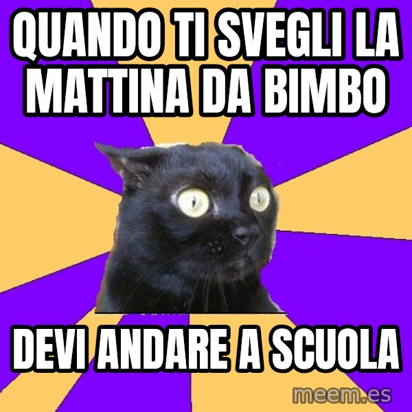 Anxiety Cat meme: quando ti svegli la mattina da bimbo / devi andare a scuola