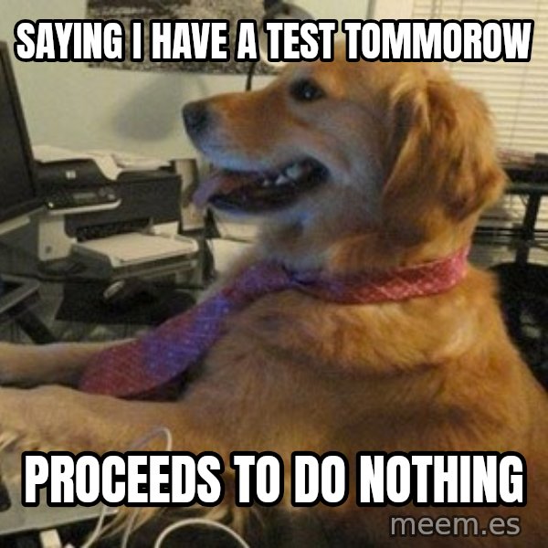 I have no idea what I'm doing - Dog with Tie meme: saying i have a test tommorow / proceeds to do nothing