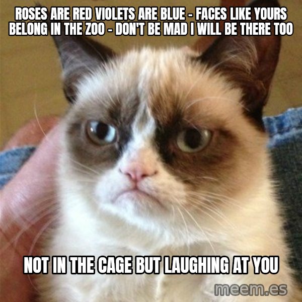 Grumpy Cat  meme: ROSES ARE RED VIOLETS ARE BLUE - FACES LIKE YOURS BELONG IN THE ZOO - DON'T BE MAD I WILL BE THERE TOO / NOT IN THE CAGE BUT LAUGHING AT YOU