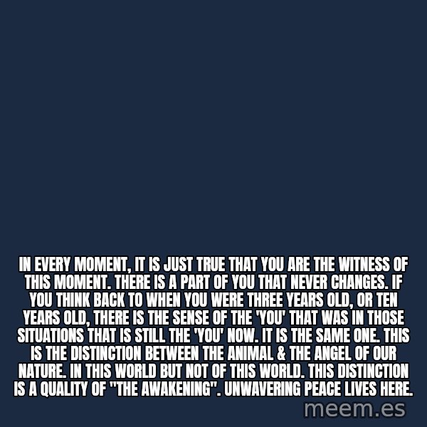 Blank Black meme: In every moment, it is just true that YOU are the witness of this moment. There is a part of you that never changes. If you think back to when you were three years old, or ten years old, there is the sense of the 'you' that was in those situations that is still the 'you' now. It is the same one. This is the distinction between the animal & the angel of our nature. In this world but not of this world. This distinction is a quality of "the awakening". Unwavering peace lives here.