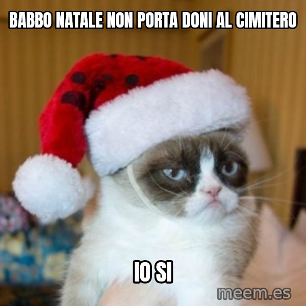 Grumpy Cat Santa Hat meme: Babbo Natale non porta doni al cimitero / Io Si