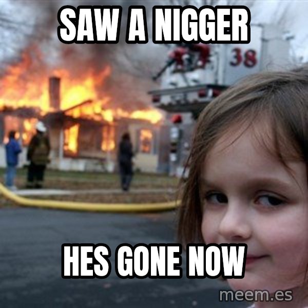 Disaster Girl meme: SAW A NIGGER / HES GONE NOW