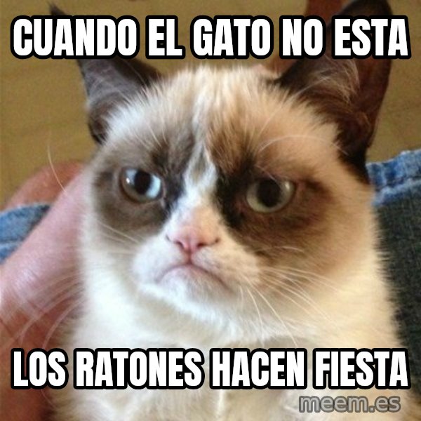 Grumpy Cat  meme: Cuando el gato no esta / Los ratones hacen fiesta
