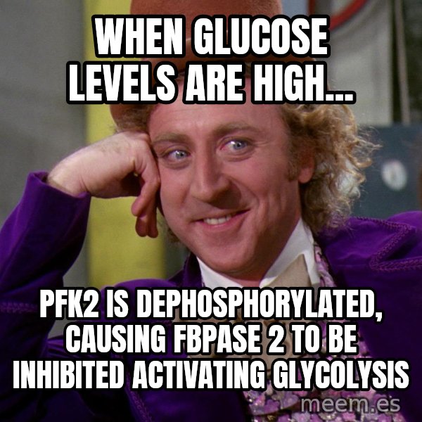 Willy Wonka meme: When glucose levels are high... / PFK2 is dephosphorylated, causing FBPase 2 to be inhibited activating glycolysis