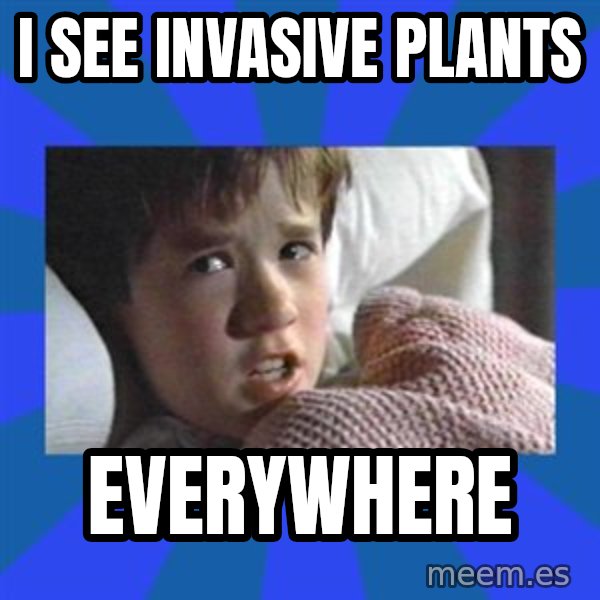 i see dead people meme: I see invasive plants / everywhere