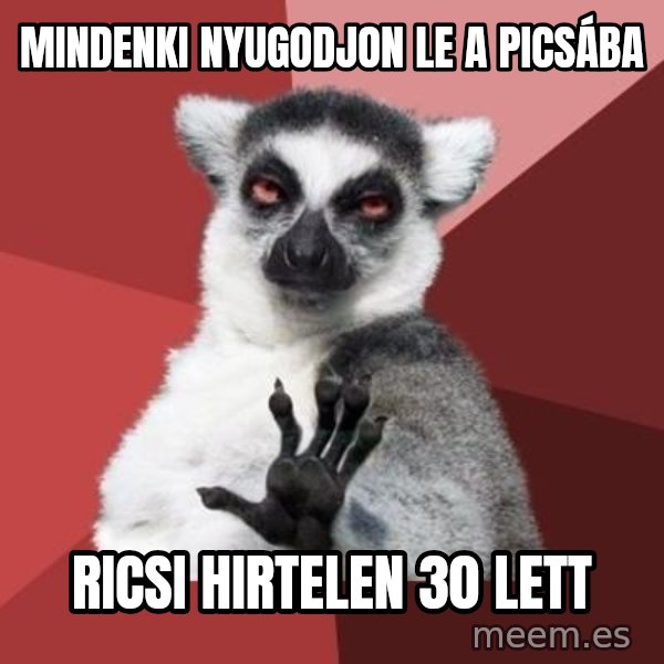 mindenki nyugodjon le a picsába meme: Mindenki nyugodjon le a picsába / Ricsi hirtelen 30 lett