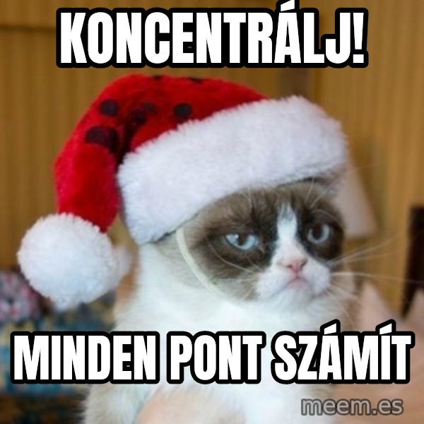 Grumpy Cat Santa Hat meme: koncentrálj! / minden pont számít