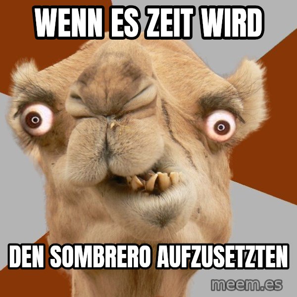 Crazy Camel lol meme: Wenn es zeit wird / den sombrero aufzusetzten