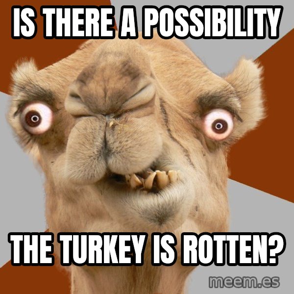 Crazy Camel lol meme: Is there a possibility / the turkey is rotten?