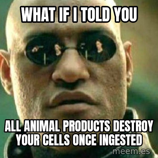 What If I Told You meme: What if I told you / All animal products destroy your cells once ingested