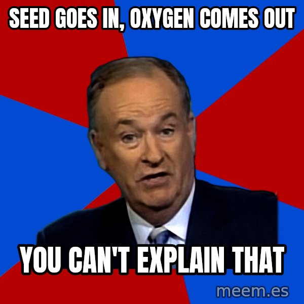 Bill O'Reilly Proves God meme: seed goes in, oxygen comes out / you can't explain that