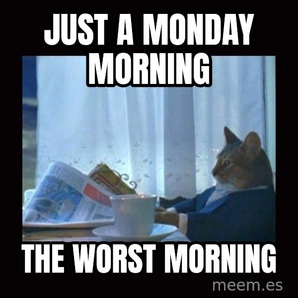 i should buy a boat cat meme: just a monday morning / The worst morning