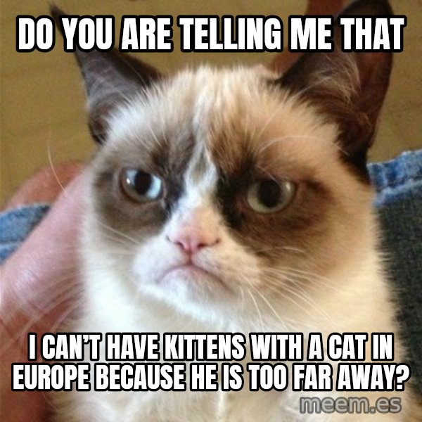 Grumpy Cat  meme: Do you are telling me that / I can’t have kittens with a cat in Europe because he is too far away?