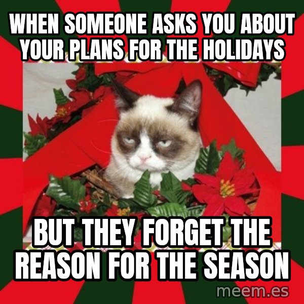 GRUMPY CAT ON CHRISTMAS meme: When someone asks you about your plans for the holidays / But they forget the reason for the season