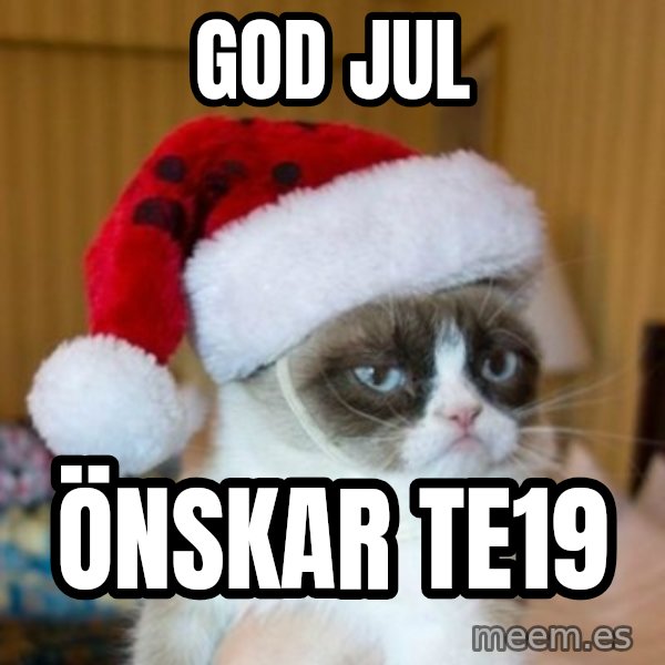 Grumpy Cat Santa Hat meme: God jul / önskar TE19