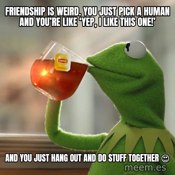 Kermit The Frog Drinking Tea meme: Friendship is weird. You just pick a human and you’re like ‘yep, i like this one!’ / And you just hang out and do stuff together 😍