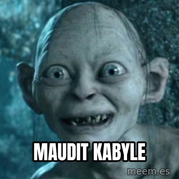 My Precious Gollum meme: MAUDIT KABYLE
