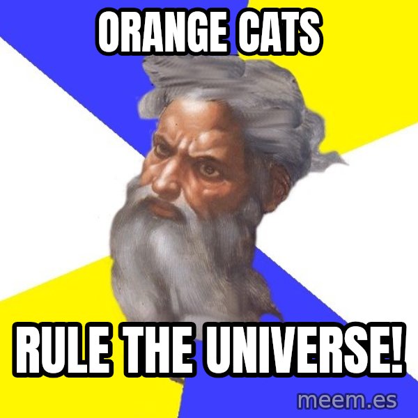 God meme: Orange Cats / Rule The Universe!