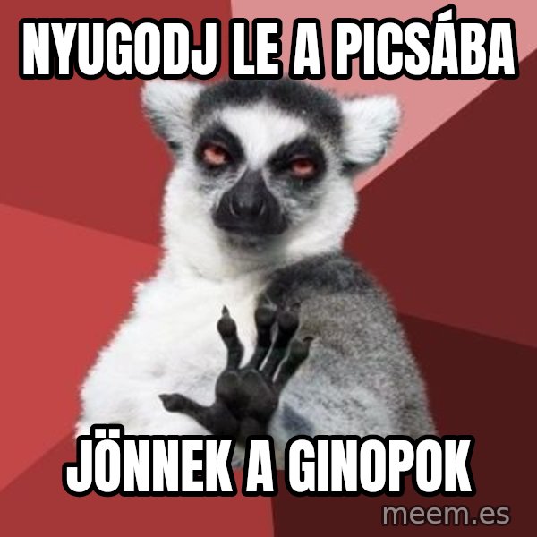 mindenki nyugodjon le a picsába meme: nyugodj le a picsába / jönnek a ginopok