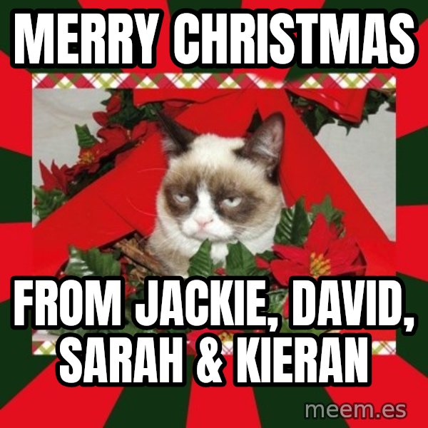 GRUMPY CAT ON CHRISTMAS meme: Merry Christmas / From Jackie, David, Sarah & Kieran