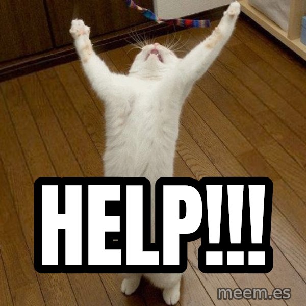 praise the lord cat meme: Help!!!