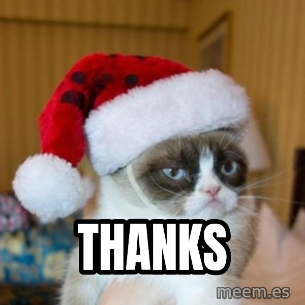 Grumpy Cat Santa Hat meme: Thanks