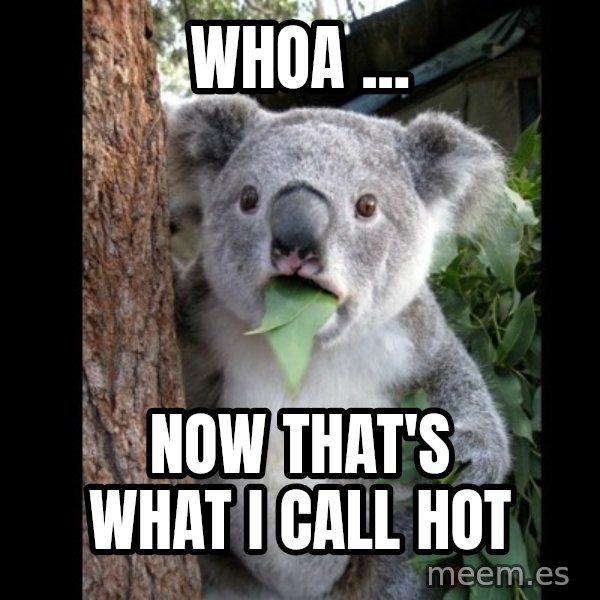 Koala can't believe it meme: Whoa ... / now that's what i call hot