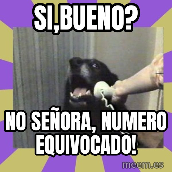Yes, this is dog! meme: Si,Bueno? / No Señora, numero equivocado!