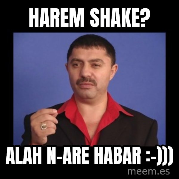 Manelistul Nicolae Guta meme: Harem Shake? / Alah n-are habar :-)))