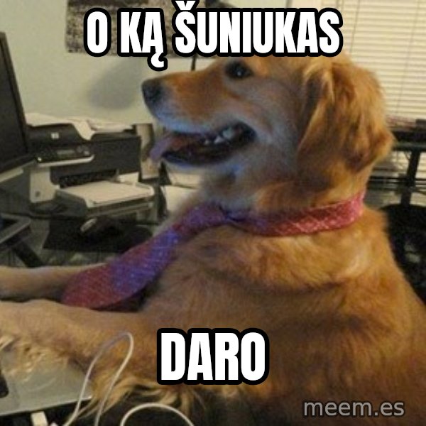 I have no idea what I'm doing - Dog with Tie meme: O ką šuniukas / Daro