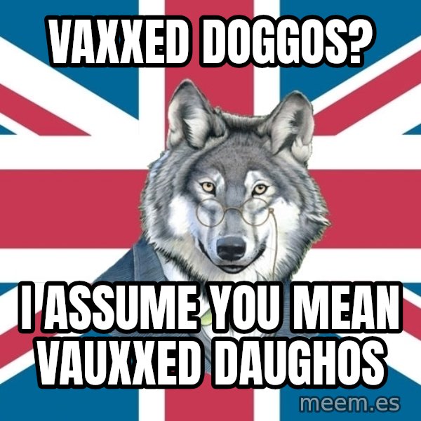 Sir Courage Wolf Esquire meme: Vaxxed doggos? / I assume you mean Vauxxed Daughos