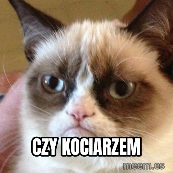 Angry Cat Meme meme: czy kociarzem