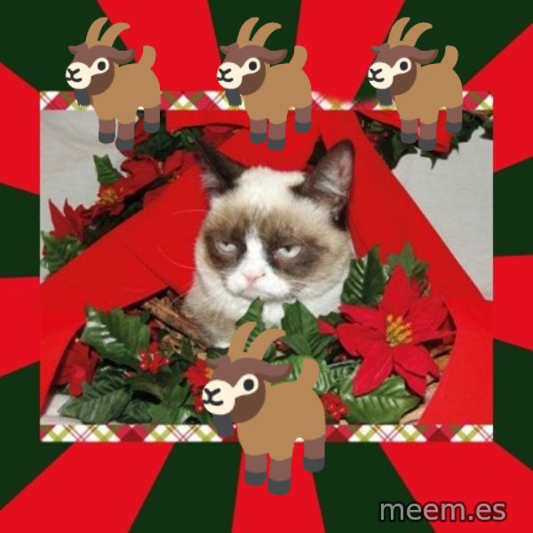 GRUMPY CAT ON CHRISTMAS meme: 🐐🐐🐐 / 🐐