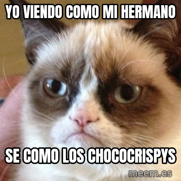 Angry Cat Meme meme: yo viendo como mi hermano / se como los chococrispys