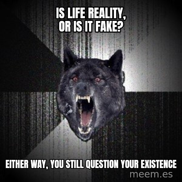 Insanity Wolf meme: Is life reality, or is it fake? / Either way, you still question your existence
