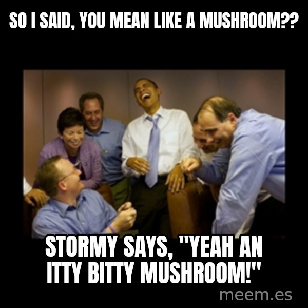 obama laughing  meme: So I said, you mean like a mushroom?? / Stormy says, "yeah an itty bitty mushroom!"